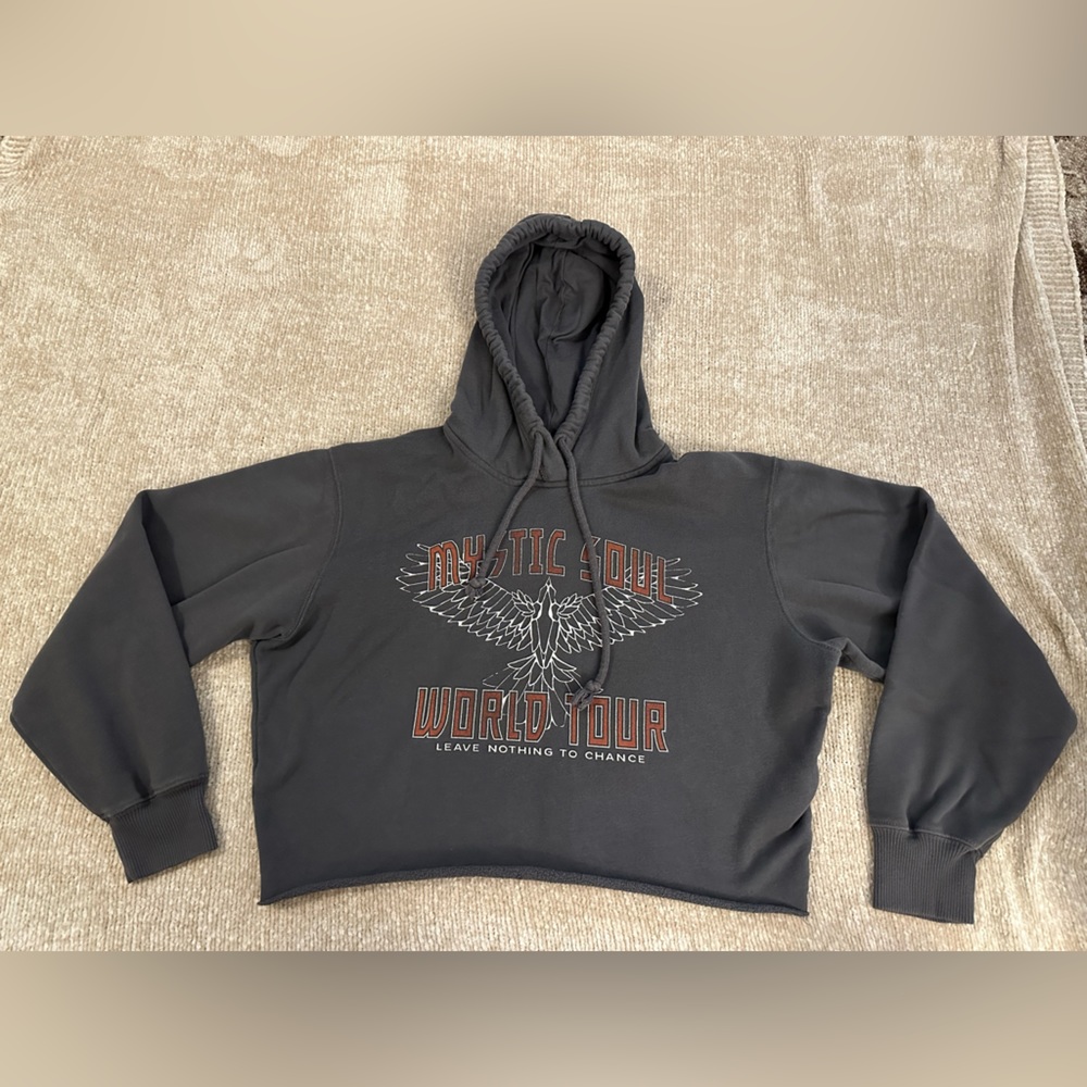 Hollister Grey Cropped Hoodie - size small